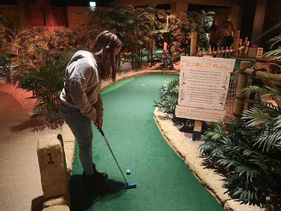 Treetop Adventure Golf in Manchester