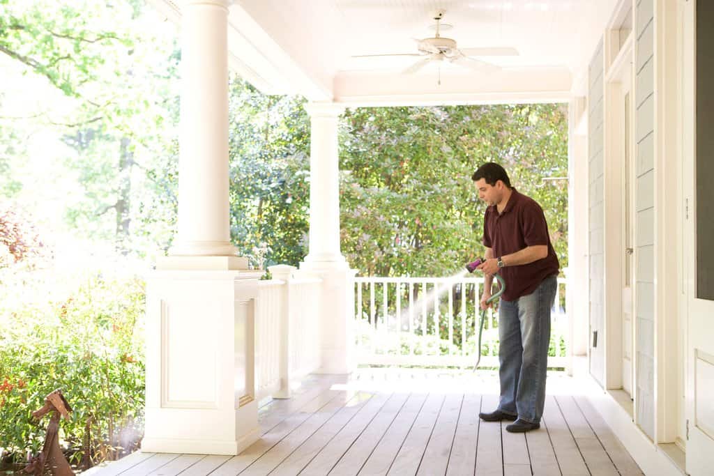 strong pest control tips to implement this winter strong scaled