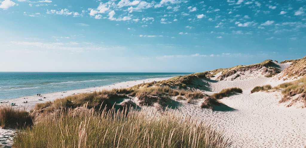 a view of the beach and the ocean from the sand dunes.