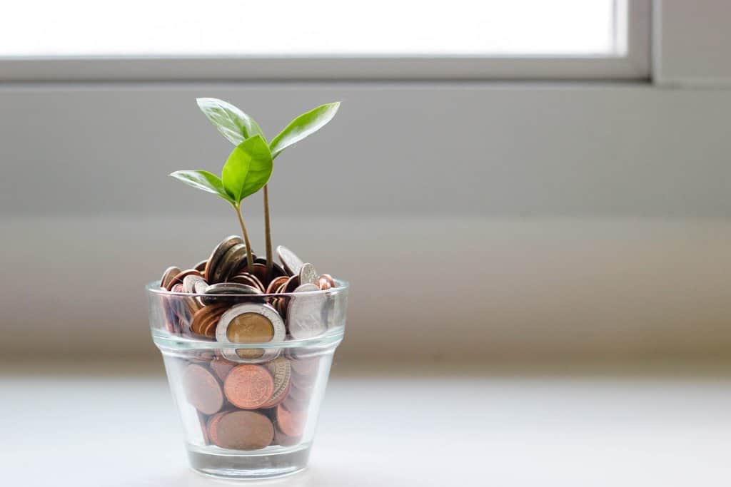 A plant growing out of a glass of coins.