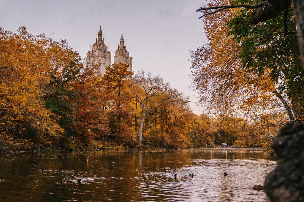 A beautiful lake in Central Park with a castle in the background.