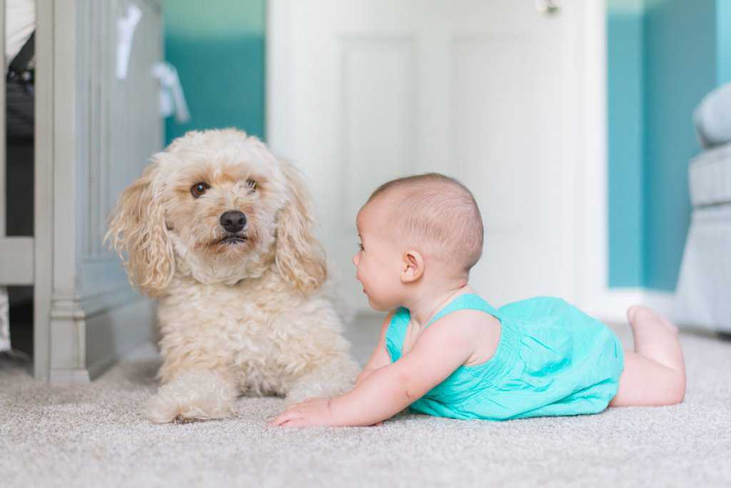 A baby-friendly environment with a baby laying on the floor next to a dog, providing peace of mind for parents.