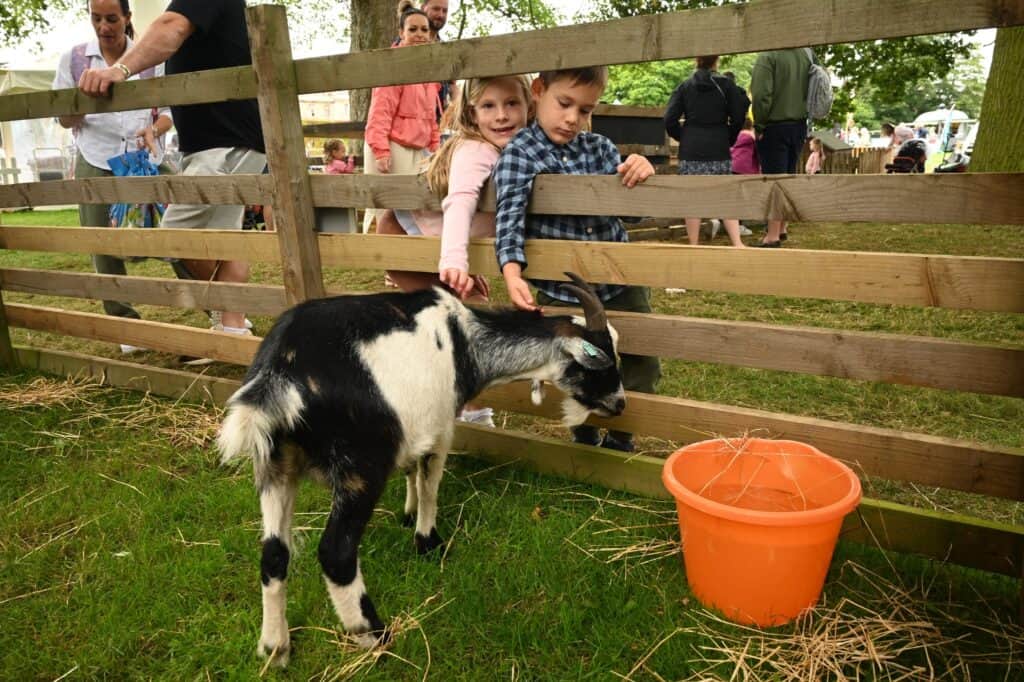 Two children pet a black and white goat through a wooden fence at the Gloworm Family Festival 2024. An orange bucket is on the ground nearby, adding to the festive atmosphere. Other people are visible in the background, all enjoying the fun-filled activities.