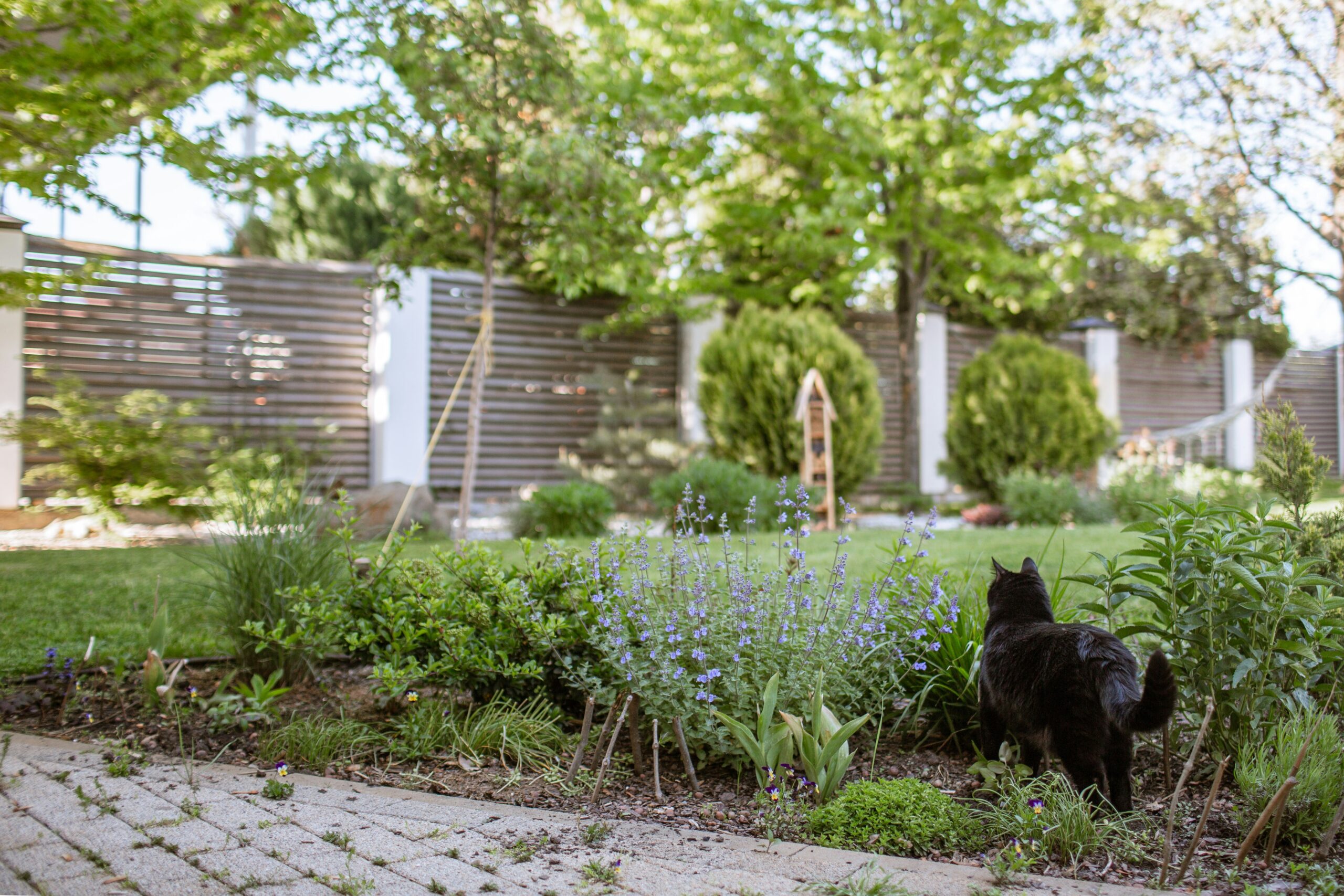 Selling Land or a Large Garden Plot: What Developers Want to See
